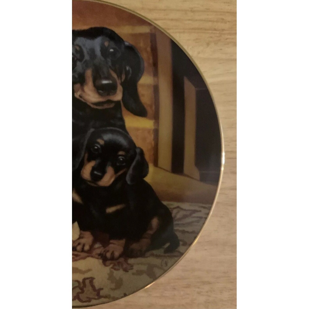 Danbury Mint Limited Edition Collection Plates Dachshunds, Pride And Joy, A5735 - Picture 5 of 8